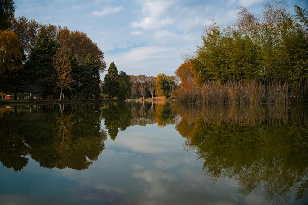 Atelier Culinaire pour Chefs : Maîtriser la Maladie Cœliaque pour des Recettes Sans Gluten